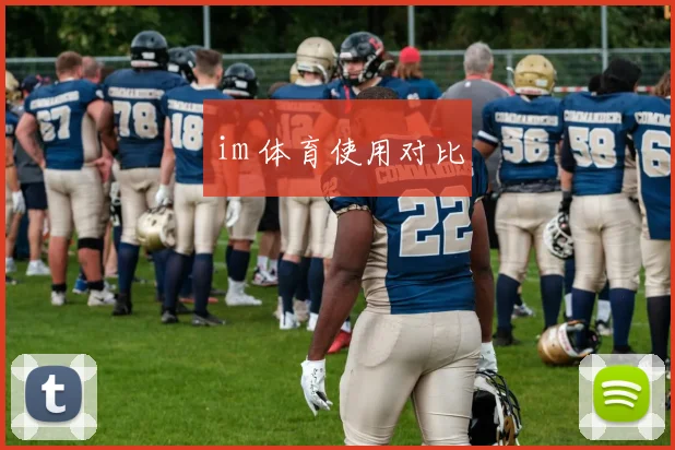 im 体育使用对比