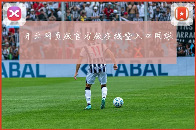 开云网页版官方版在线登入口网球