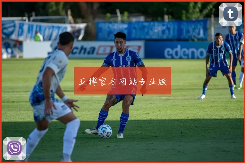 亚搏官方网站专业版