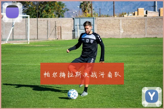帕尔梅拉斯决战河南队