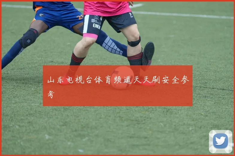 山东电视台体育频道天天刷安全参考