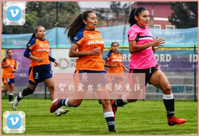 智利爱尔兰同场竞技