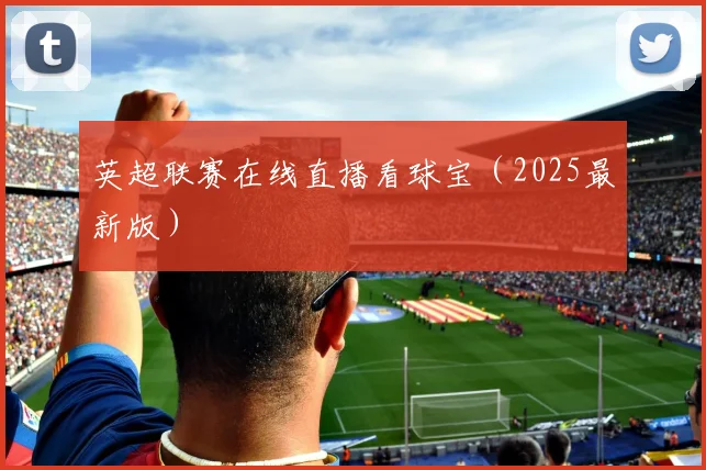英超联赛在线直播看球宝（2025最新版）