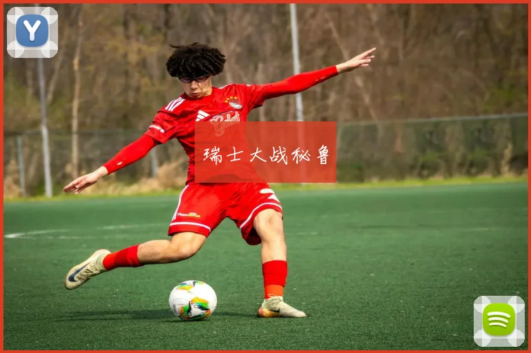 瑞士大战秘鲁