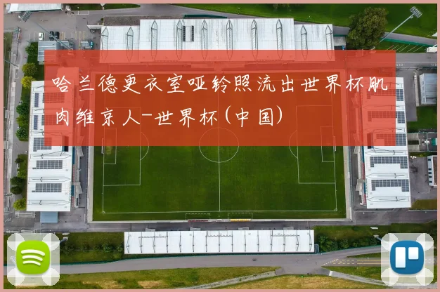哈兰德更衣室哑铃照流出世界杯肌肉维京人-世界杯(中国)