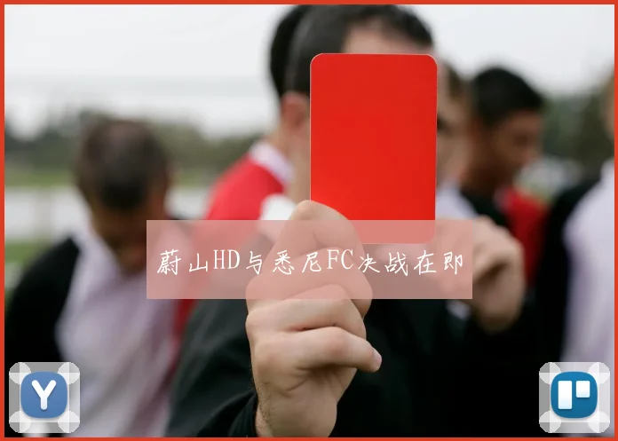 蔚山HD与悉尼FC决战在即