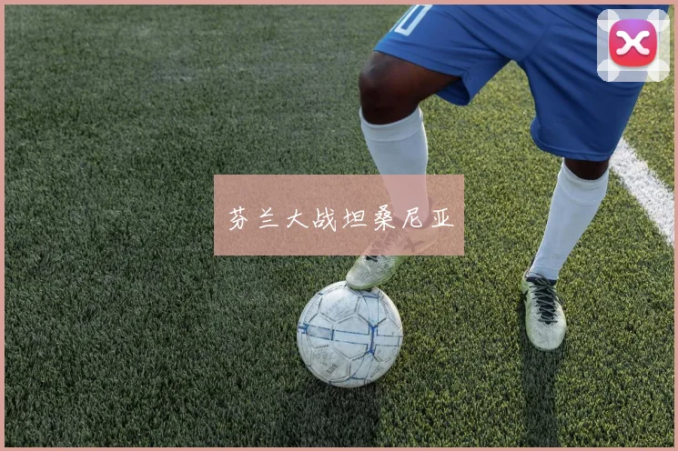 芬兰大战坦桑尼亚