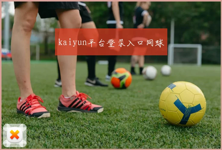 kaiyun平台登录入口网球