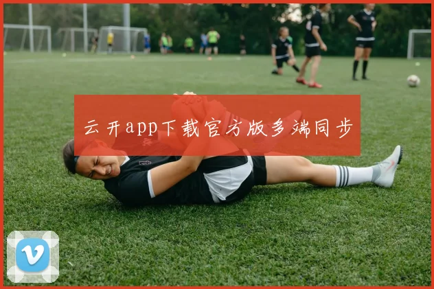 云开app下载官方版多端同步