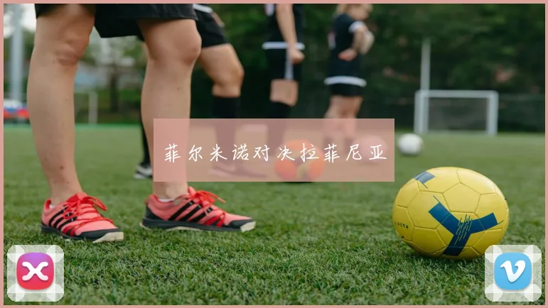 菲尔米诺对决拉菲尼亚