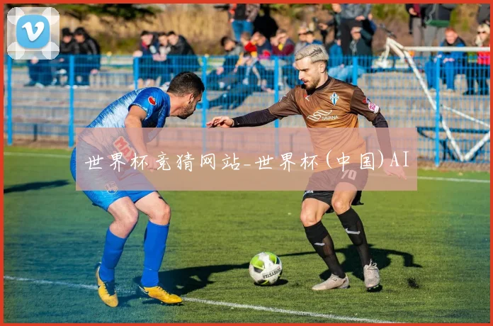 世界杯竞猜网站_世界杯(中国)AI