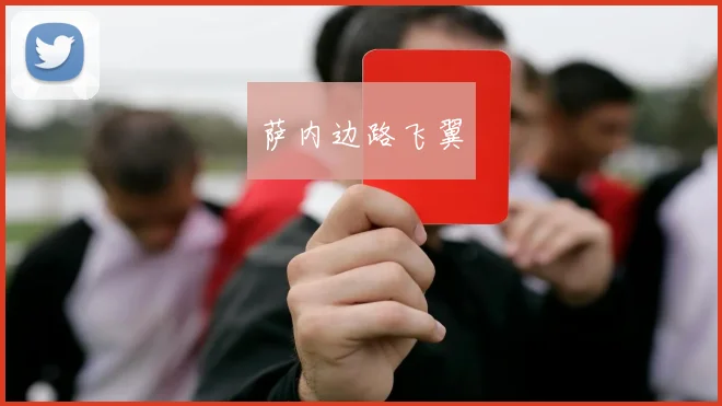 萨内边路飞翼