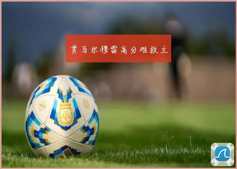 贾马尔穆雷高分难救主