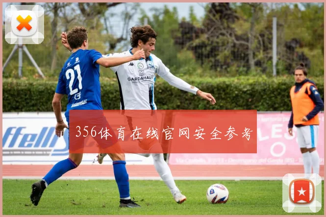 356体育在线官网安全参考