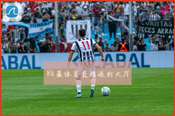8k最体育直播返利大厅