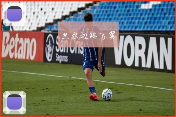 里尔边路飞翼
