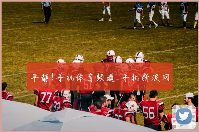 平静!手机体育频道_手机新浪网