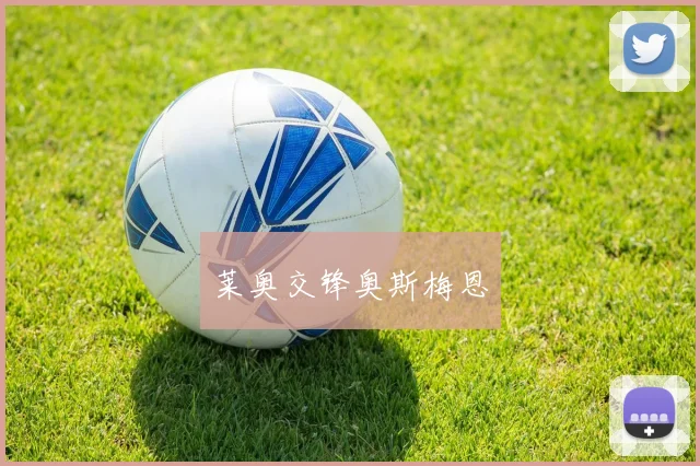 莱奥交锋奥斯梅恩