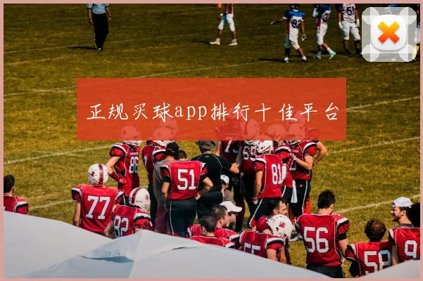 正规买球app排行十佳平台