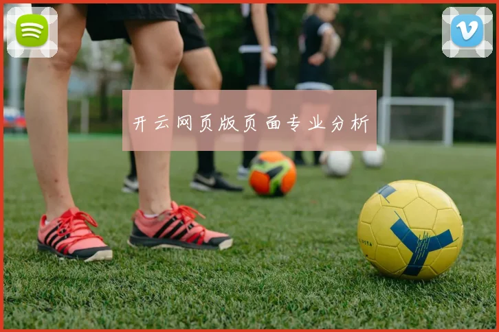 开云网页版页面专业分析