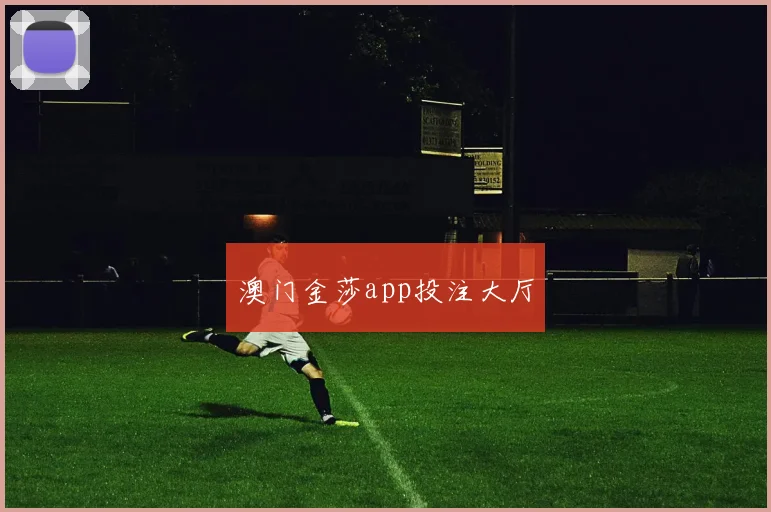 澳门金莎app投注大厅