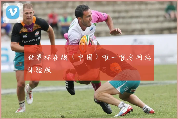 世界杯在线（中国）唯一官方网站体验版