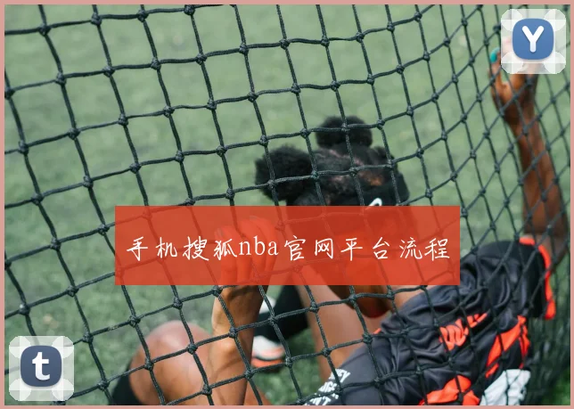 手机搜狐nba官网平台流程
