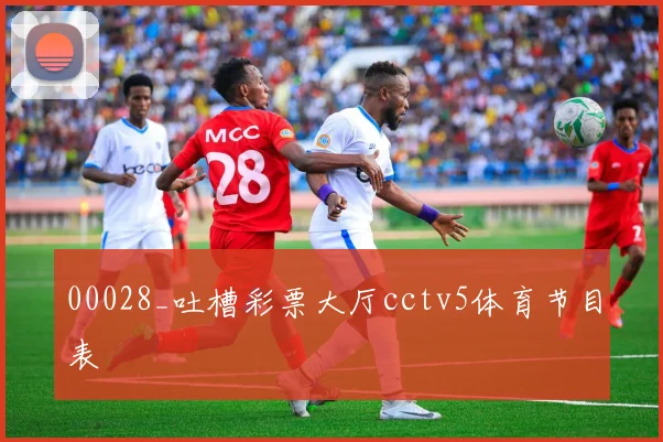00028_吐槽彩票大厅cctv5体育节目表