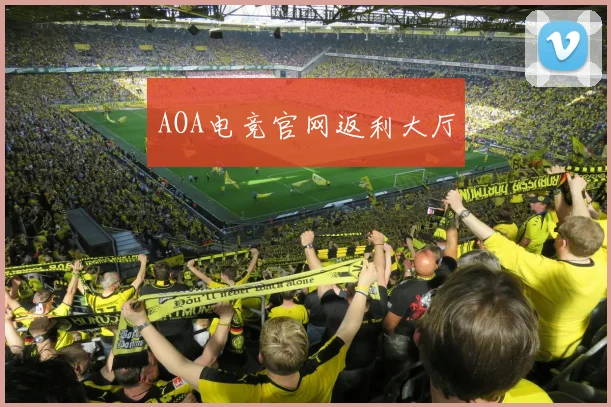 AOA电竞官网返利大厅