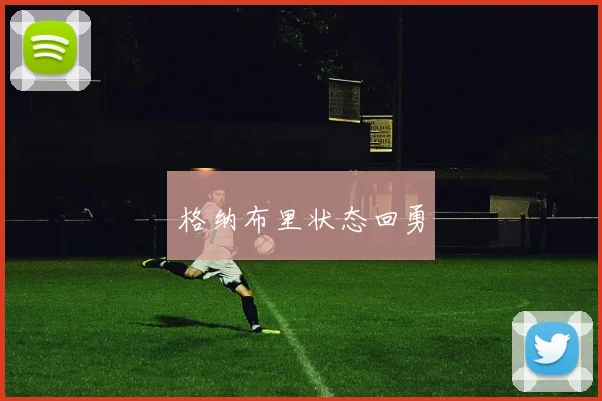 格纳布里状态回勇