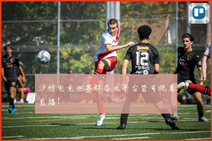 沙特电竞世界杯各大平台皆可观看直播!