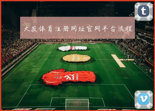 大发体育注册网址官网平台流程
