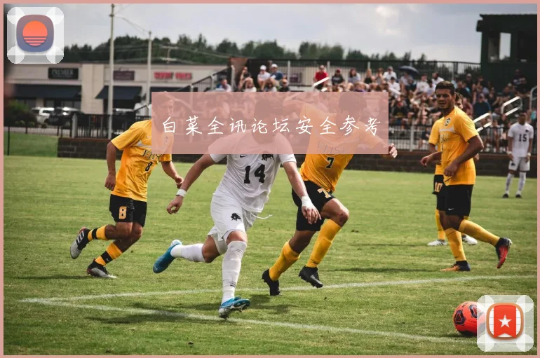 白菜全讯论坛安全参考