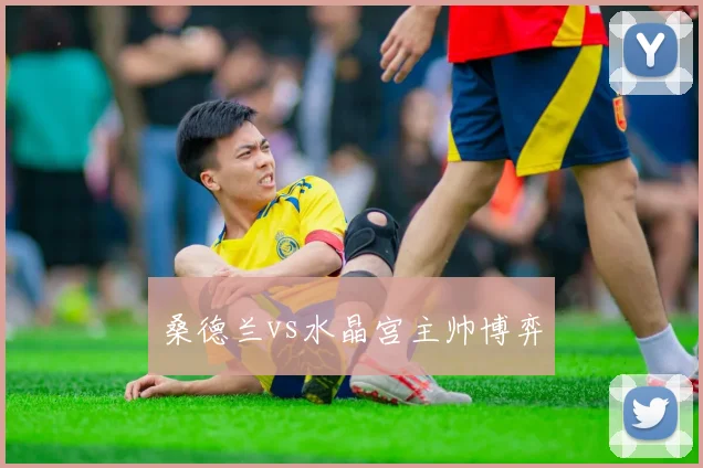 桑德兰vs水晶宫主帅博弈