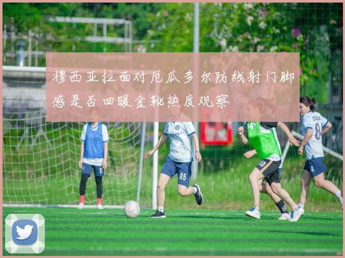 穆西亚拉面对厄瓜多尔防线射门脚感是否回暖金靴热度观察